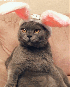 搞笑gif:只有男人才懂得动作