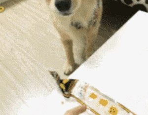 笑话趣图我终于明白了东西受热会膨胀