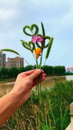 搞笑gif动图:如果我有哥哥姐姐的话,你就是小三了好不