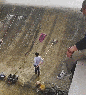 这可能就是传说中的佛系钓鱼法,等着鱼儿来就行了!不费一兵一卒!