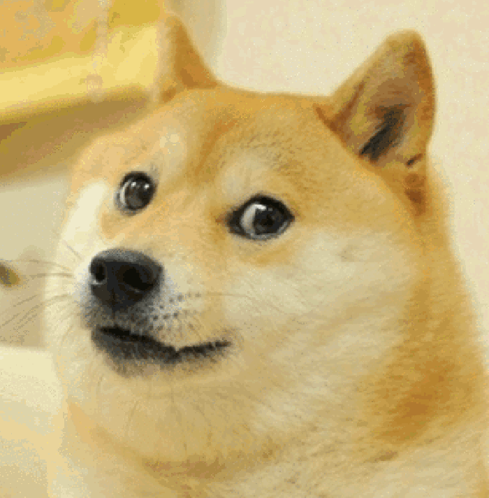 表情包论精神污染还有什么比得过doge的眼神