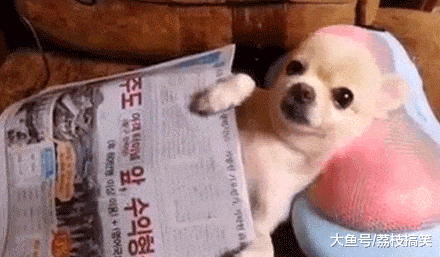 搞笑gif: 看着妈妈这美容仪, 爸爸一脸看破人生的表情