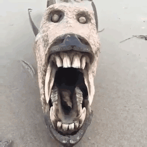 爆笑gif:难道是上古神兽的遗骸? - 360娱乐,你开心就好