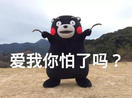 【斗图必备】行走的表情包熊本熊 - 360娱乐,你开心