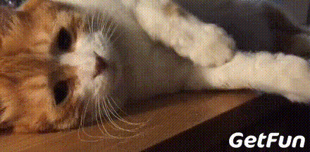 440_217gif 动态图 动图