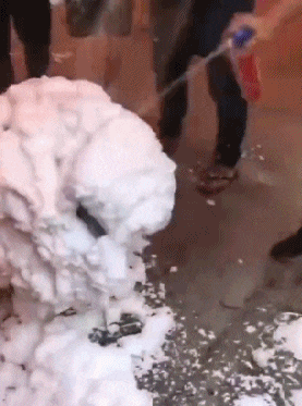 当了一天伴娘,是她一辈子最错的选择