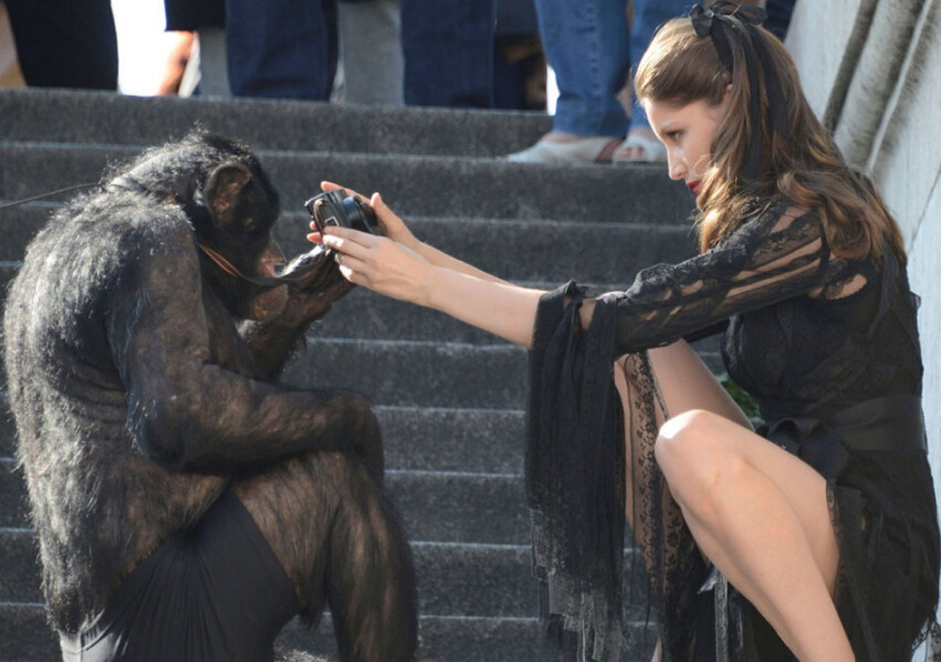 现实版"猿星崛起"黑猩猩都知道在超模前玩照相机了