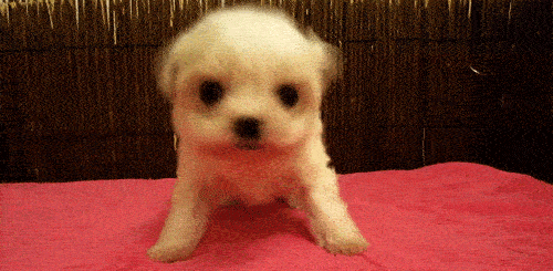 搞笑gif: 妈妈, 你大晚上的可以不要这样吓我嘛?