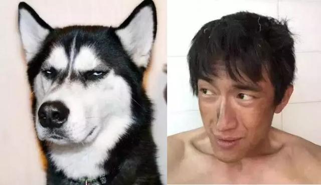 撞脸灰太狼的王宝强.撞脸吉娃娃的娃娃脸,大眼睛,傲娇的张韶涵.