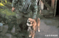 搞笑gif:啊,你走开,我坚决不洗澡!