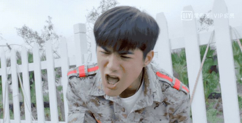 后来想要归队又拉不下面子,直接上演一出碰瓷大戏,假装小七咬住他的腿