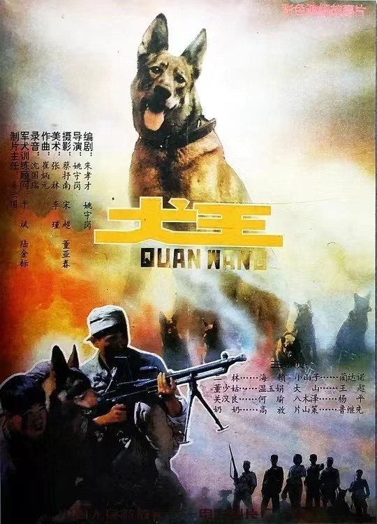 犬王：堪比《忠犬八公》的佳作，却遭万人呼吁下架，你看过吗？