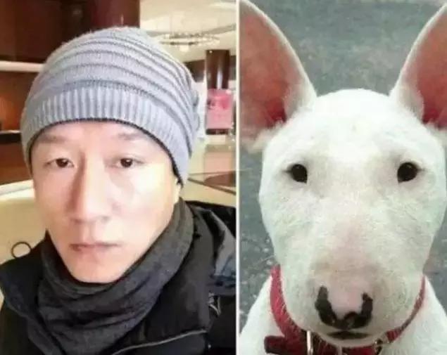 原来娱乐圈潜伏了一票蛙系脸明星啊