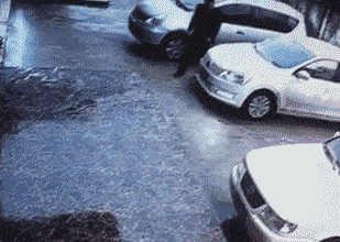 我正在上厕所遇到这种情况,该怎么办才好?在线等