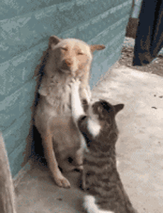 开心一刻: 出差回来问儿子: 这几天有叔叔来家里玩吗