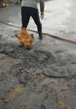 搞笑动态图gif: 一个眼神秒杀整支军队,你这技能也太厉害了吧.