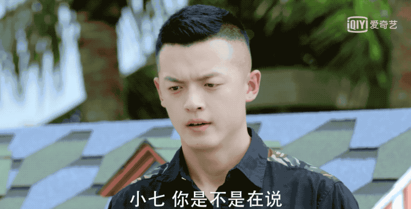 《神犬小七3》怕不是个沙雕群像戏? - 360娱乐,你开心