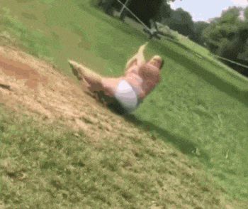 搞笑gif图:人怕出名猪怕壮,男怕没钱女怕胖