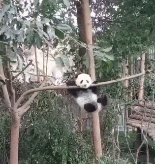 搞笑gif孩子让你吃饭你怎么把头给洗了
