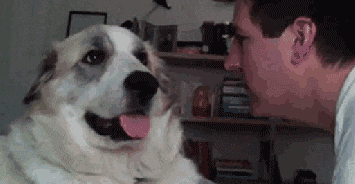 不仔细看还不知道这表情简直是神同步啊