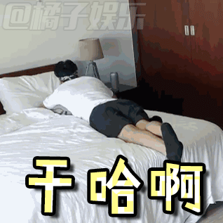 【表情包】掌勺大厨张亮在《中餐厅》里又立苏人设啦