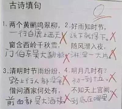 搞笑的小学生答卷,看完笑趴在厕所了
