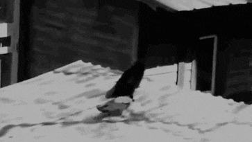 搞笑dttgif: 等我有钱了也这样走这样看