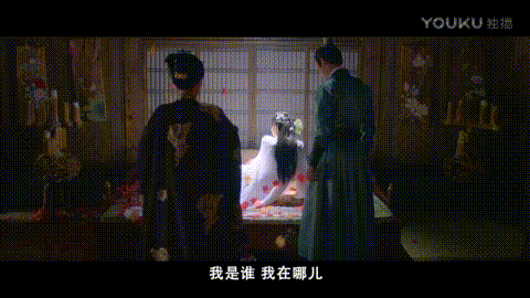方式,不过男主唐青风是镇远将军长子,女主唐青叶是镇远将军府二小姐