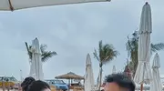 从爆火剧《生万物》看薇娅：找值得托付的人，才是最大的幸福
