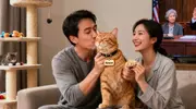 丁克夫妻爱猫如子，父母法庭怒诉：猫怎能替代孙辈？