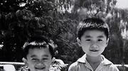 逐渐“消失”的主持人孟非，早已经走上了另一条路