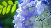 盘点！时间充足却浪费严重，这些浪费时间的大坑你踩了没？