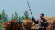 《生万物》封二下线，林永健咋就演活了老农民？必看！