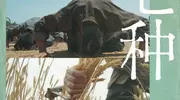 收视爆了！《生万物》成开年最大黑马，杨幂领衔看哭全网