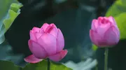 认知眼界高却混得差？这几个原因很扎心