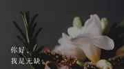别错过！平淡情感中这些珍贵瞬间要珍惜！