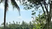 杨采钰8月产后配音疑复出，爆嫁豪门失败，还陷夺子风波？