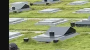 具俊晔墓地陪大S用餐，碗放墓碑上，独自看《流星花园》催泪
