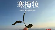 晒太阳、烘烤、洗茶，网上教的方法，真的可以挽救发霉白茶吗？