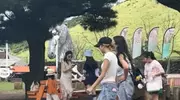偶遇Lisa在济州岛度假，失去滤镜的Lisa让人认不出，粉丝很难接受