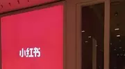 押宝赵露思，小红书商业化怎样了？——流量盛宴与社区基因的博弈