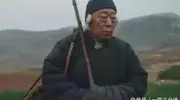 电视剧《生万物》到底有什么问题？你知道吗？
