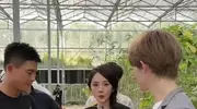 杨幂欧豪菜园反差萌！女神碎花裙美如画，欧豪扛锄头秒变真农民