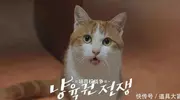 扑通扑通LOVE！金瑟祺、尹斗俊二搭独幕剧《喵育权战争》