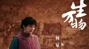 杨幂扮丑让人出戏？看了倪妮，宋佳才知道什么是“教科书”式扮丑