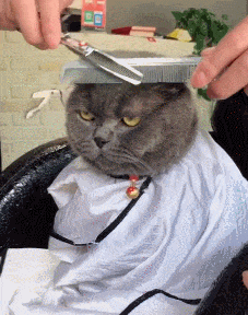 女人扎堆儿的时候,是不是有种全都超漂亮的错觉 - 360娱乐,你开心就好