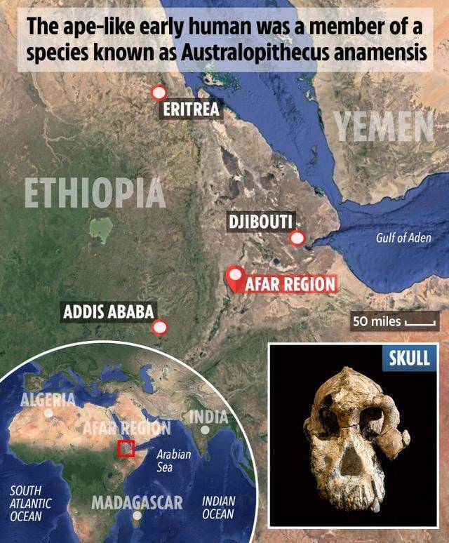 “最可惜”的古猿，差一步成人类，它们跟人类“老祖母”同时代考古学家发现“最可惜”的古猿 360娱乐，你开心就好