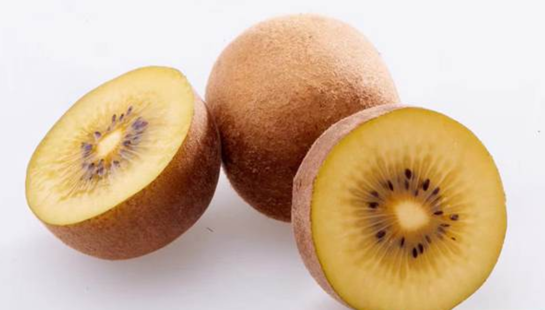 走向海外中国再育一猕猴桃新品种澳大利亚首获使用权