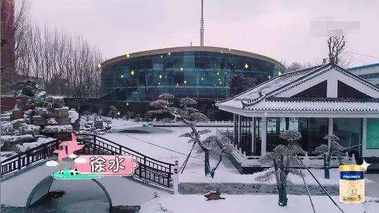 黄圣依的家豪华得可怕，儿子却跟她形同路人