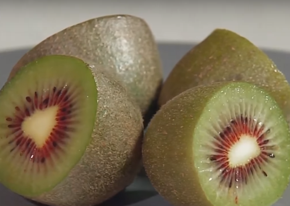 走向海外中国再育一猕猴桃新品种澳大利亚首获使用权